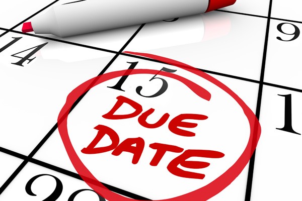 Tax lodgement and payment dates